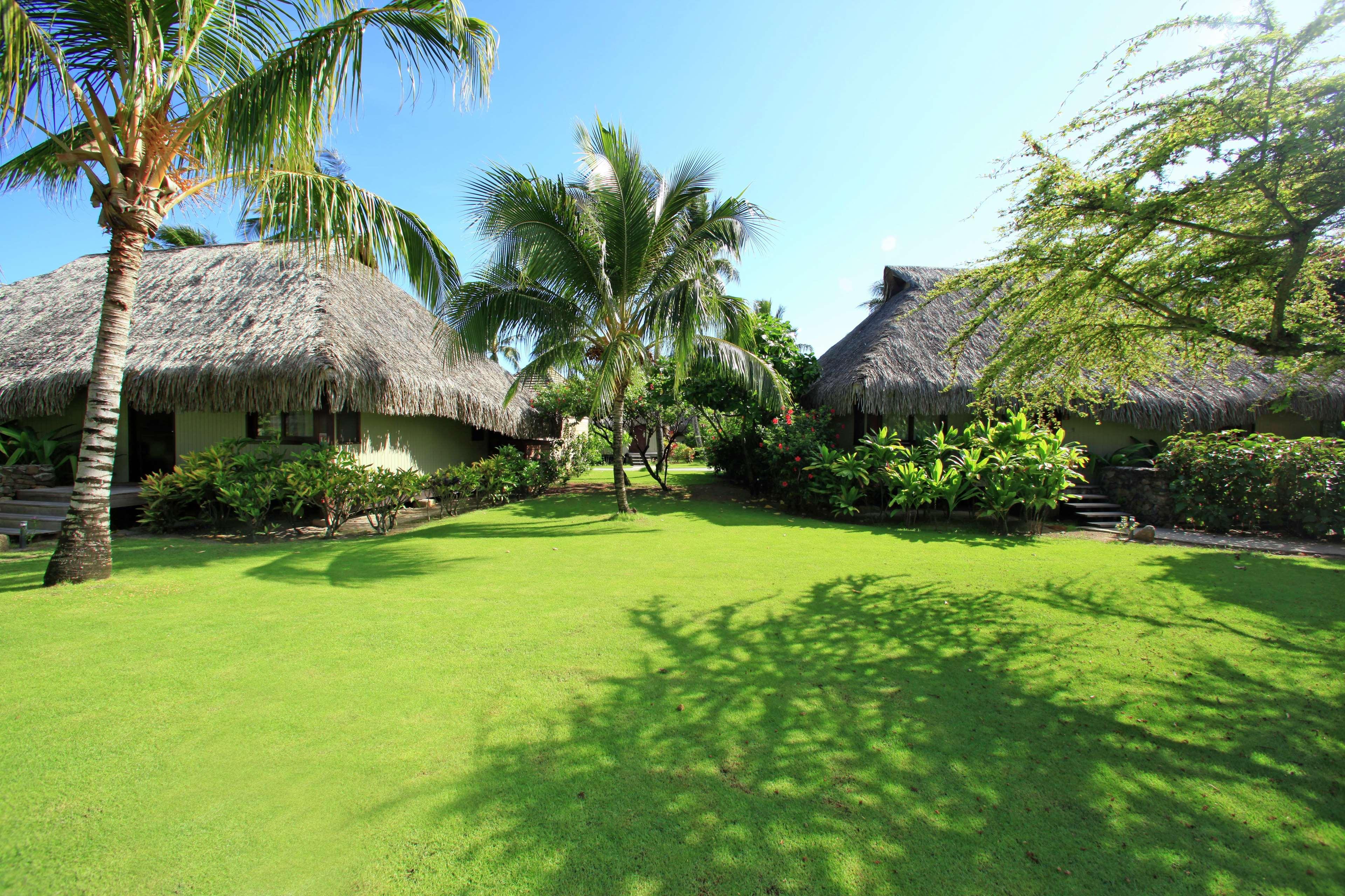 Hilton Moorea Lagoon Resort & Spa Papetoai Esterno foto