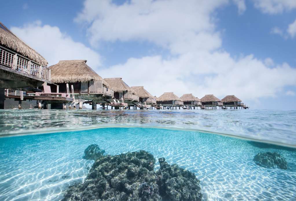 Hilton Moorea Lagoon Resort & Spa Papetoai Esterno foto
